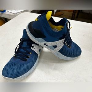 Project Rock Team 4 shoes